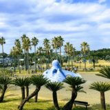 よく行く辻堂海浜公園の魅力を徹底紹介！交通公園・プール・イベントが大人気